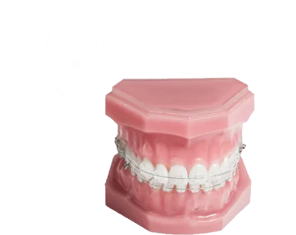 目立ちにくい審美ブラケット